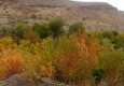 طبیعت زیبای پاییزی روستای روپس هفتادملا شهرستان میرجاوه