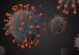 شناسایی ۱۱ مورد قطعی ابتلا به ویروس جدید «نیپا» در هند