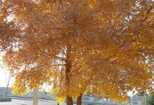 طبیعت زیبای پاییزی دهستان تمین  