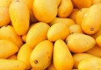 جنوب شرق ایران خواستگاه تولید سلطان میوه‌هاست